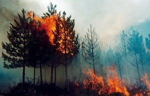 Factores que influyen a los incendios forestales