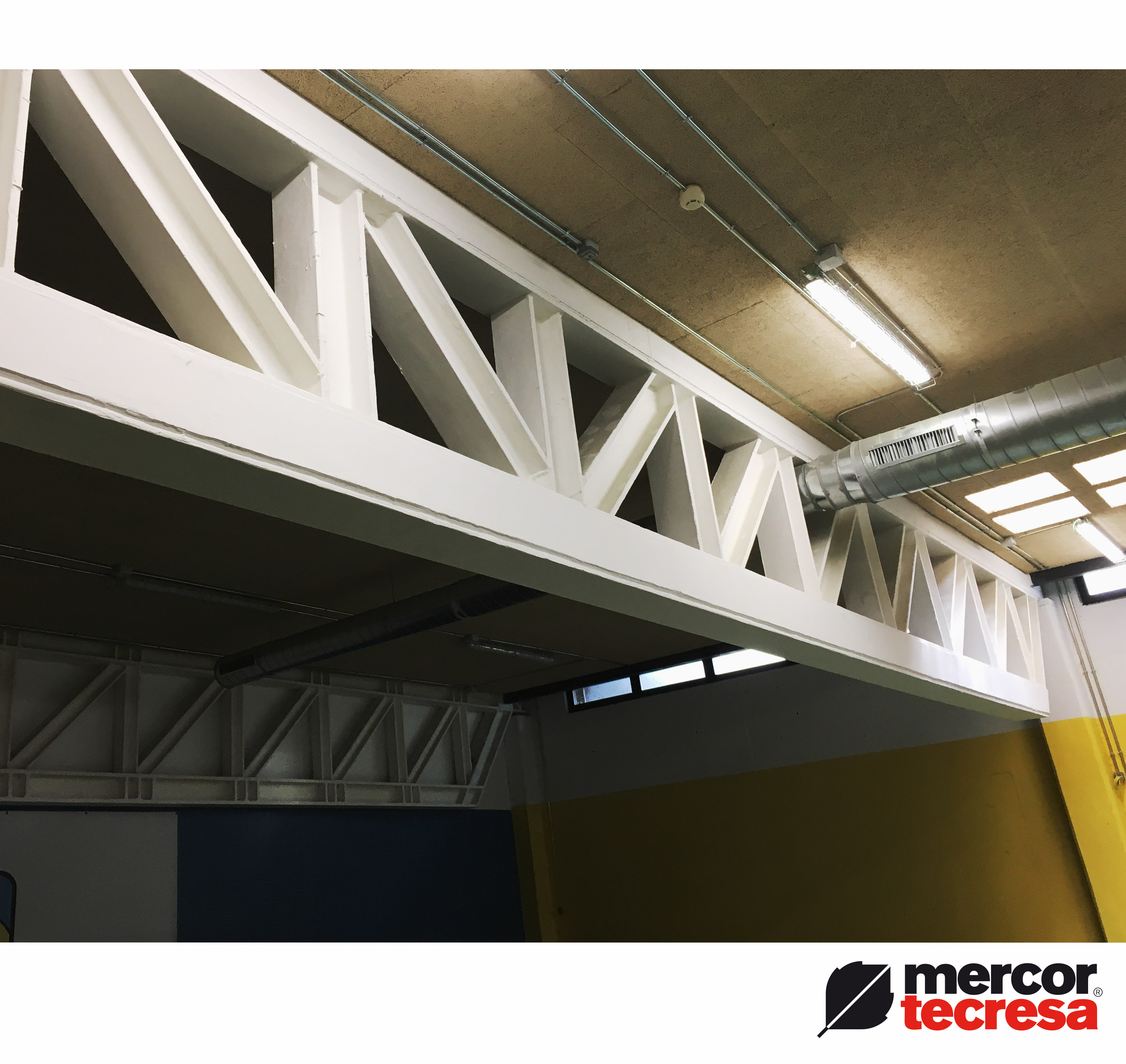 TeclackW® Intumescent Paint for steel structures Mercor Tecresa